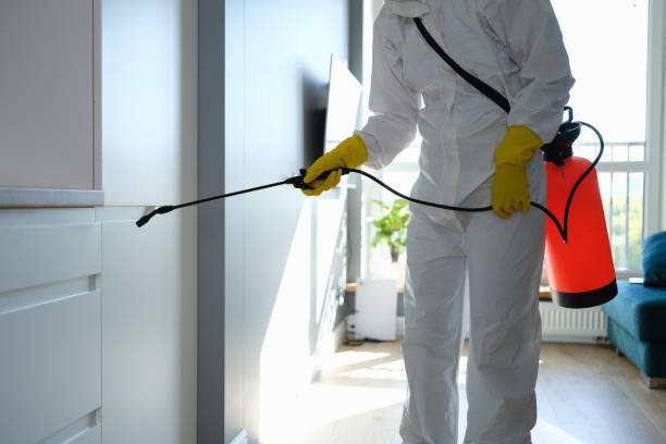 Best Mold Remediation  in Oakwood, OH