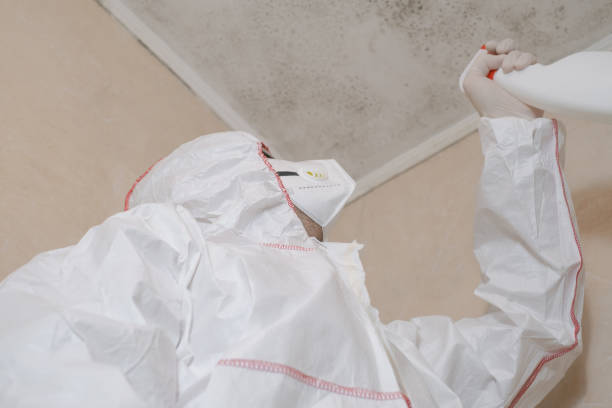 Certified Mold Removal in Oakwood, OH