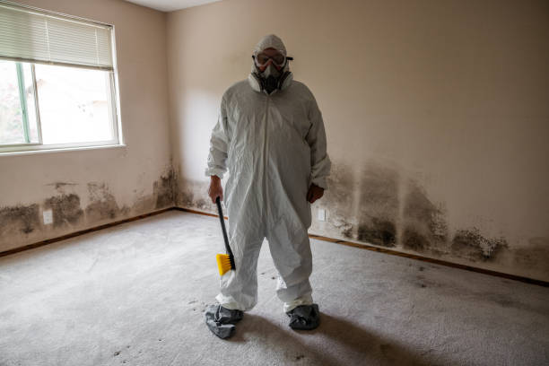 Best Toxic Mold Removal  in Oakwood, OH